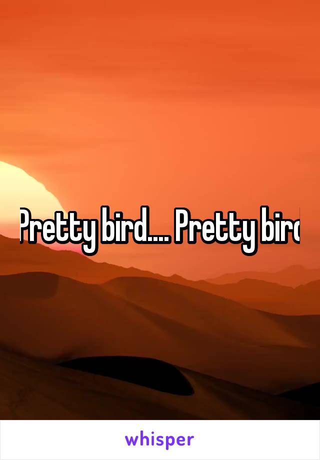 Pretty bird.... Pretty bird