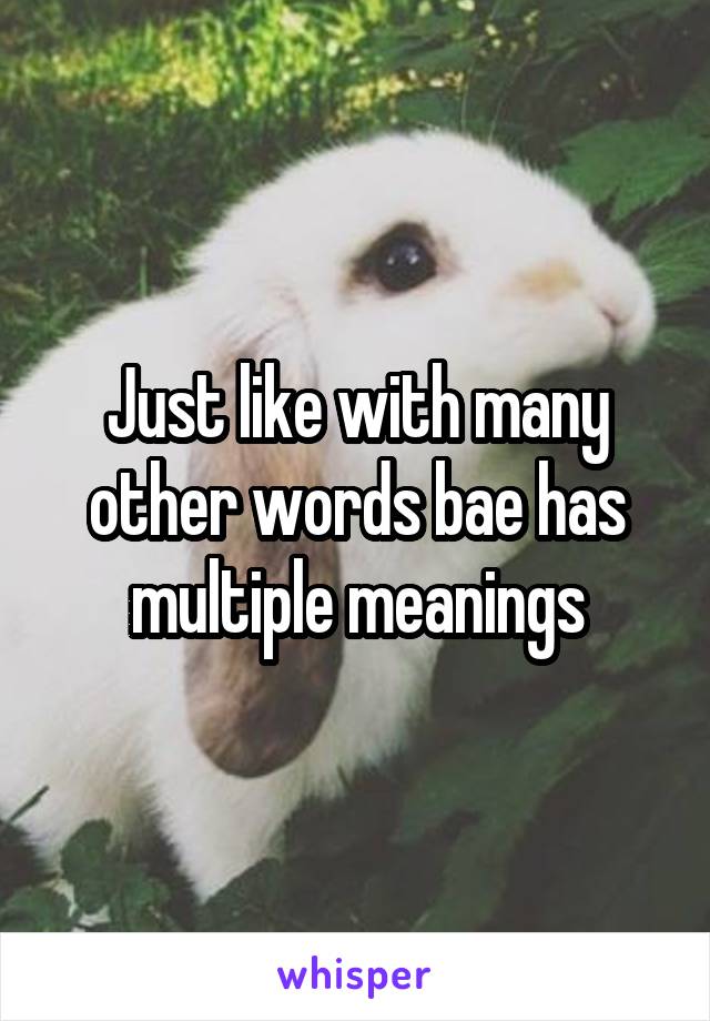 Just like with many other words bae has multiple meanings