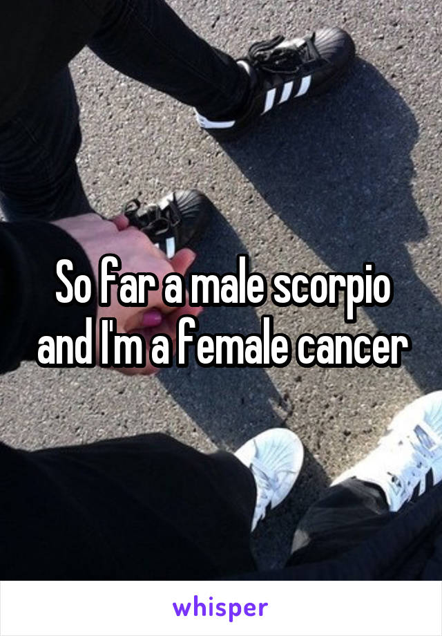 So far a male scorpio and I'm a female cancer