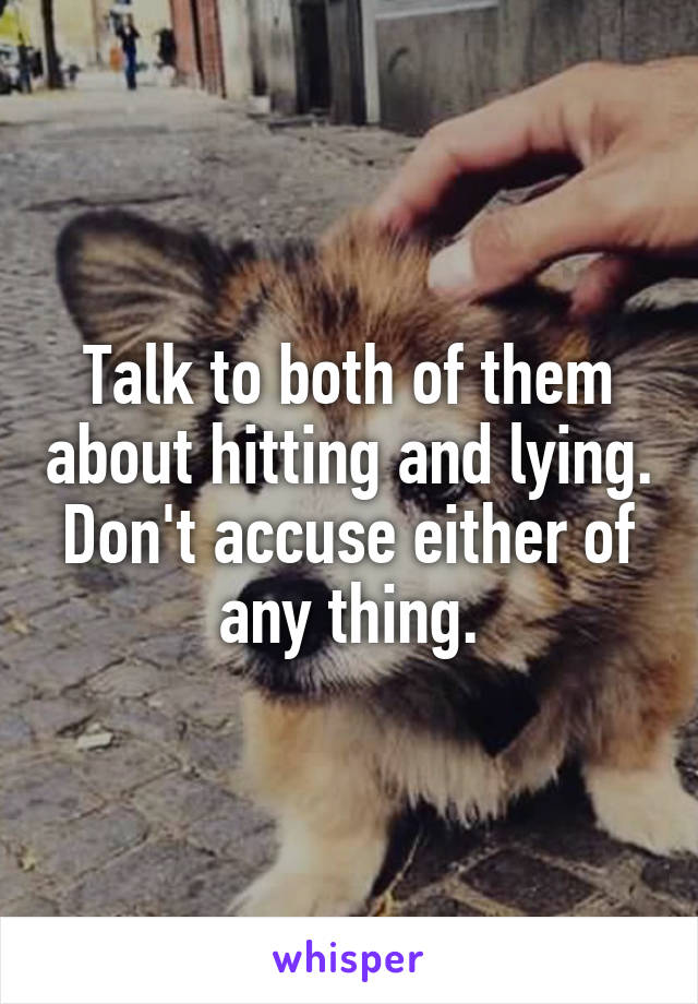 Talk to both of them about hitting and lying. Don't accuse either of any thing.