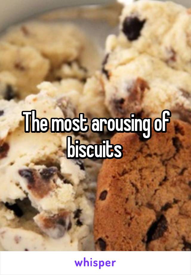The most arousing of biscuits 