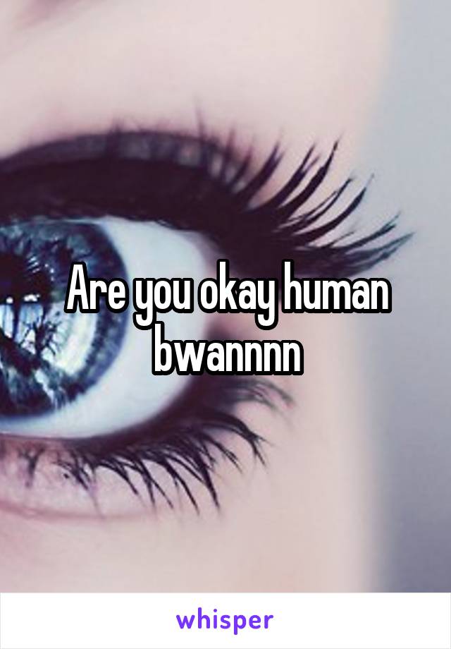 Are you okay human bwannnn