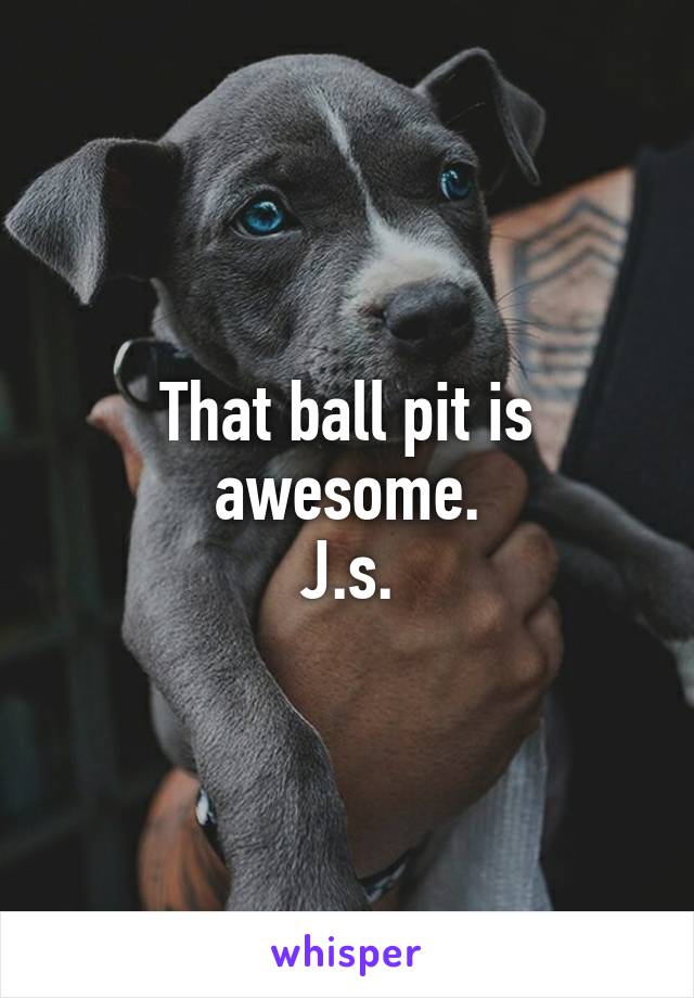 That ball pit is awesome.
J.s.
