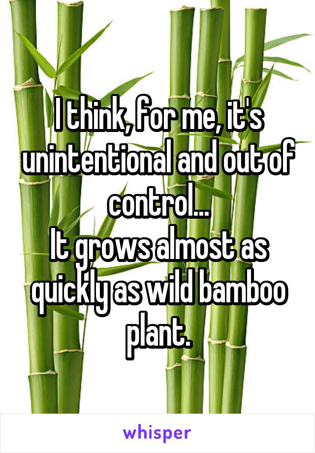 I think, for me, it's unintentional and out of control...
It grows almost as quickly as wild bamboo plant.