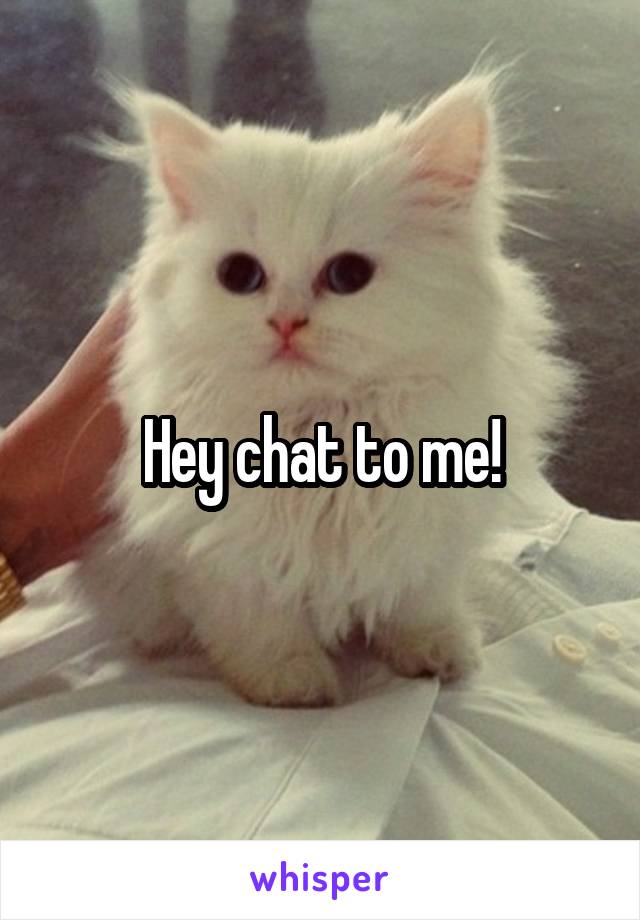 Hey chat to me!