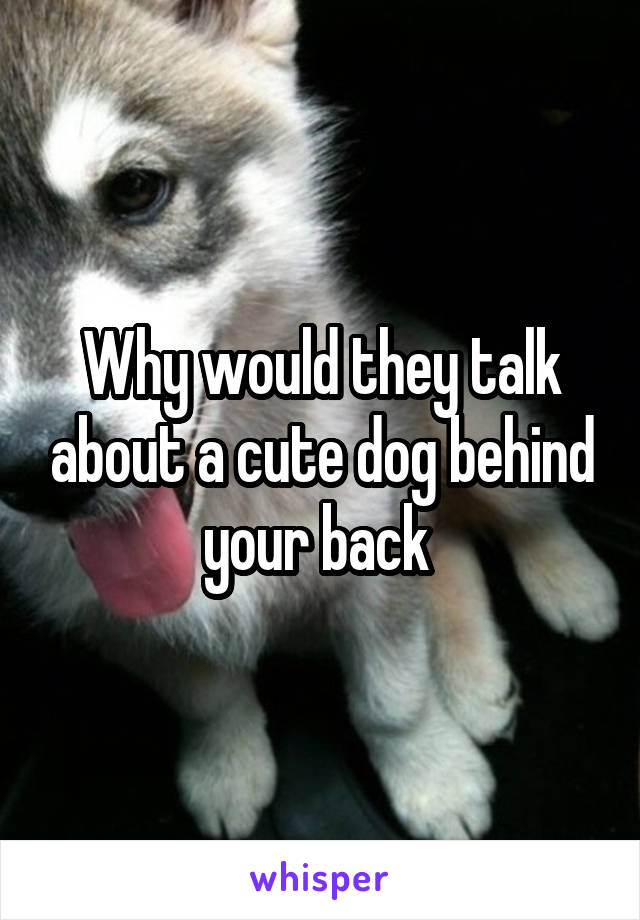 Why would they talk about a cute dog behind your back 