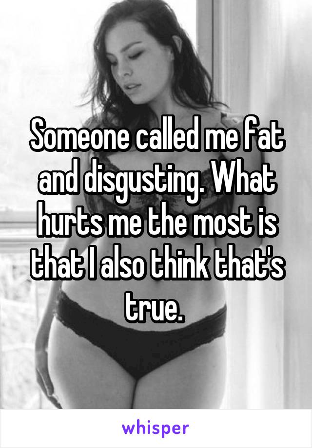 Someone called me fat and disgusting. What hurts me the most is that I also think that's true. 