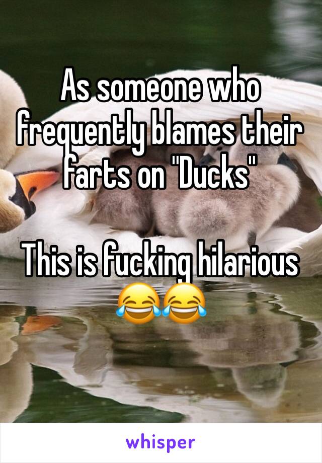 As someone who frequently blames their farts on "Ducks"

This is fucking hilarious 😂😂