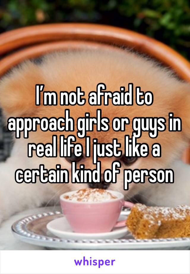 I’m not afraid to approach girls or guys in real life I just like a certain kind of person 