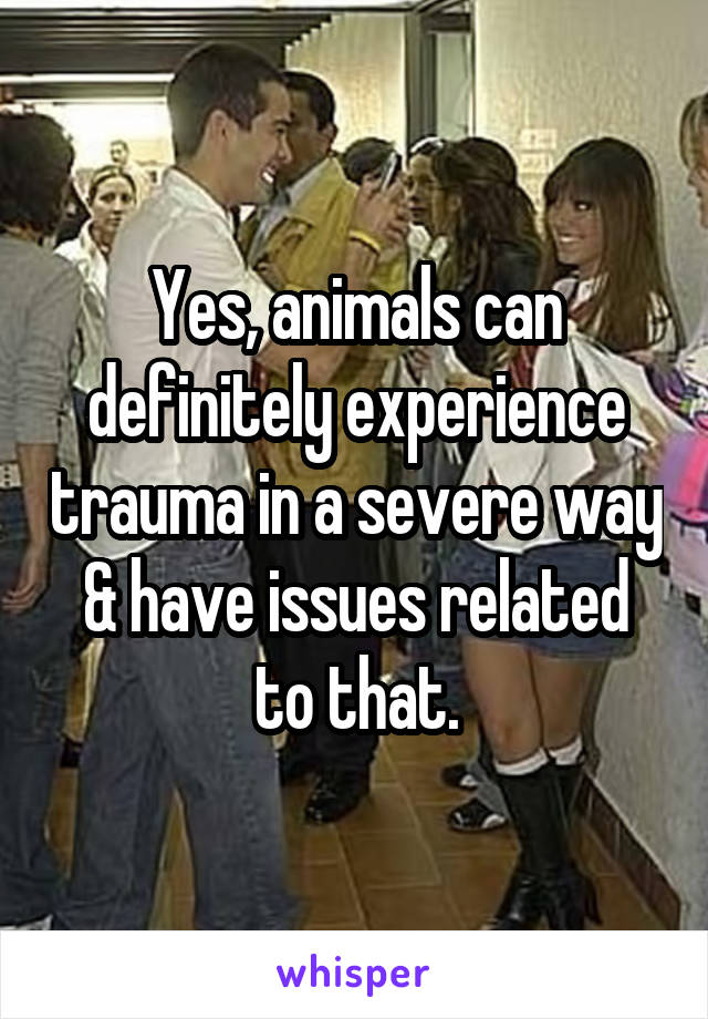 Yes, animals can definitely experience trauma in a severe way & have issues related to that.