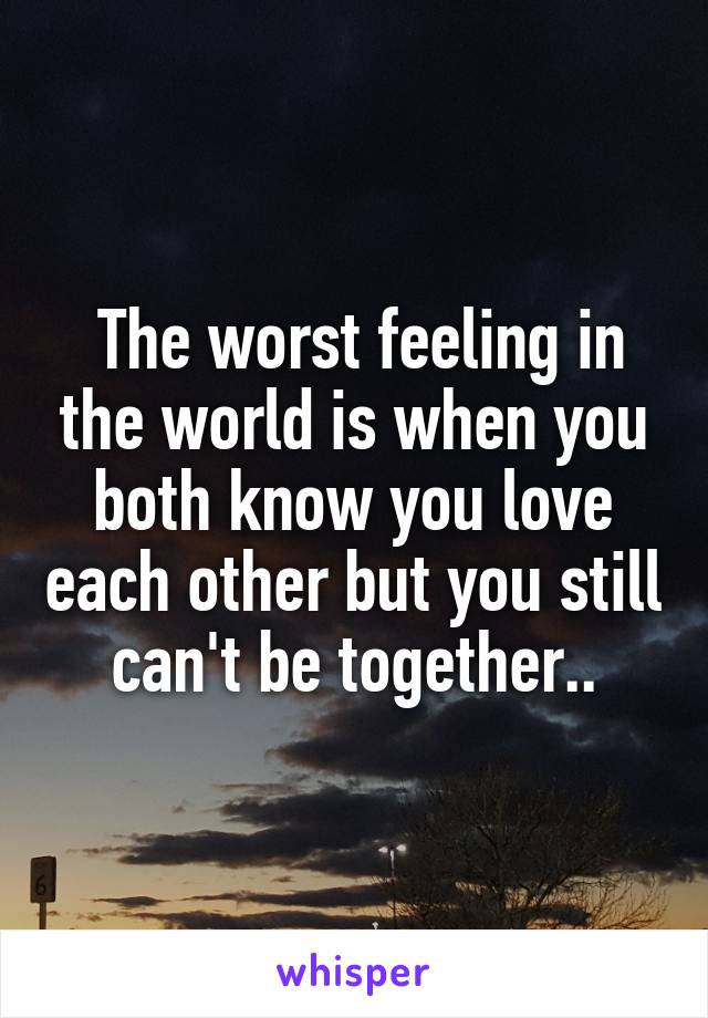  The worst feeling in the world is when you both know you love each other but you still can't be together..