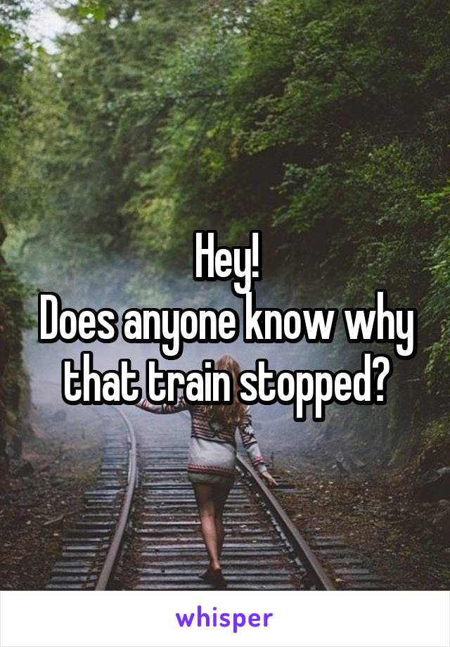 Hey!
Does anyone know why that train stopped?
