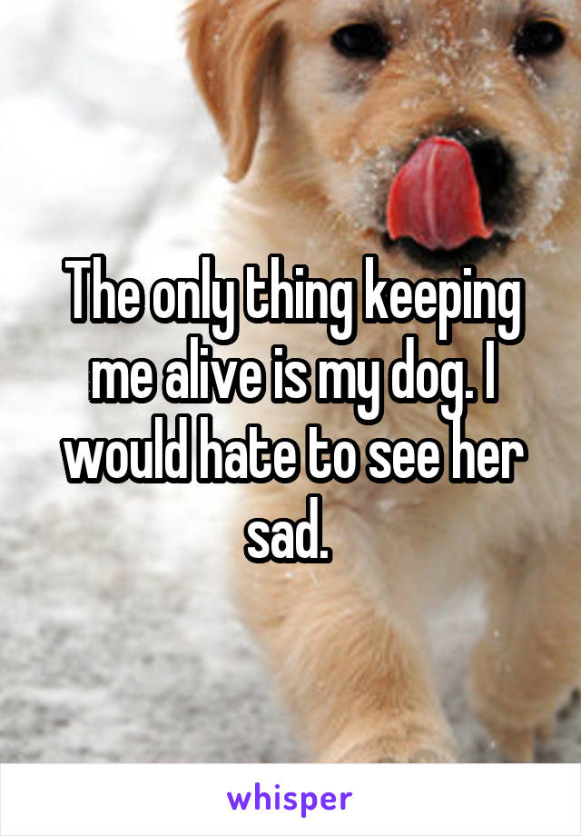 The only thing keeping me alive is my dog. I would hate to see her sad. 