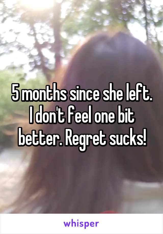 5 months since she left. I don't feel one bit better. Regret sucks!