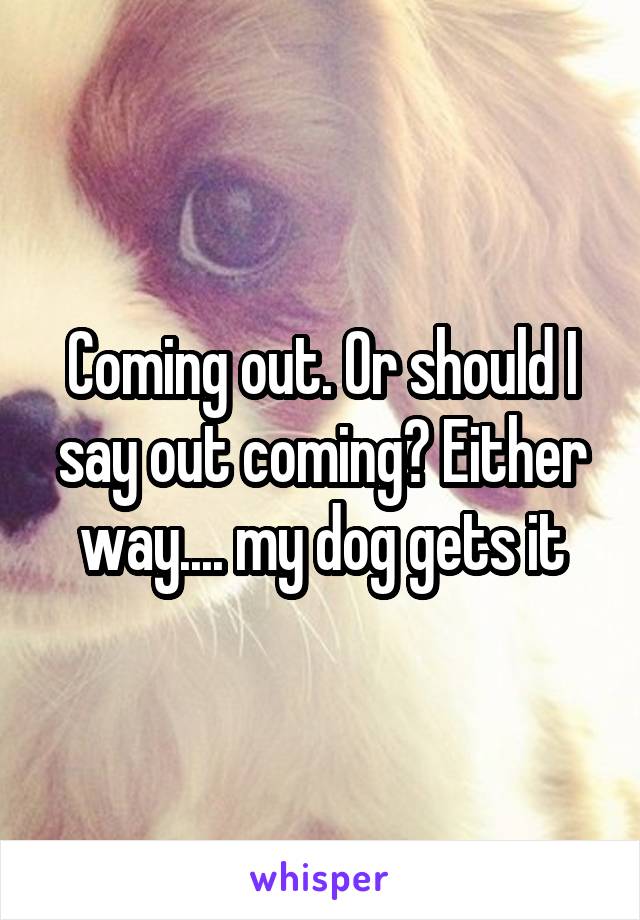 Coming out. Or should I say out coming? Either way.... my dog gets it
