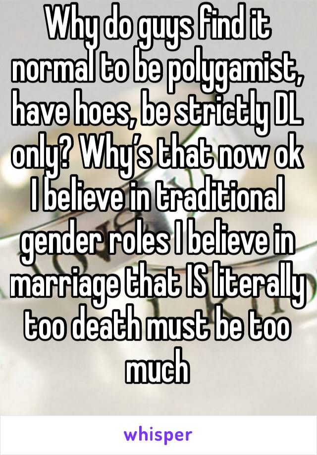 Why do guys find it normal to be polygamist, have hoes, be strictly DL only? Why’s that now ok I believe in traditional gender roles I believe in marriage that IS literally too death must be too much
