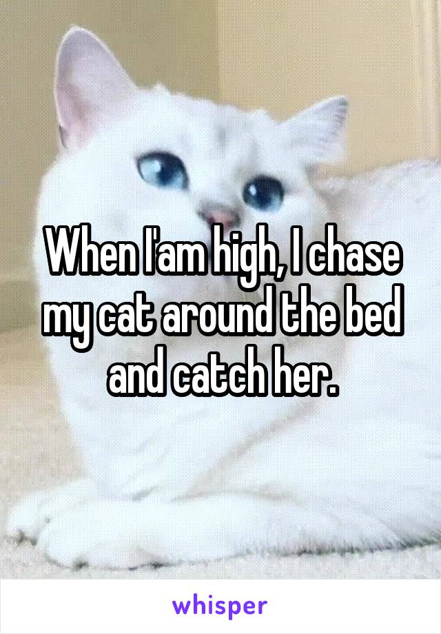 When I'am high, I chase my cat around the bed and catch her.