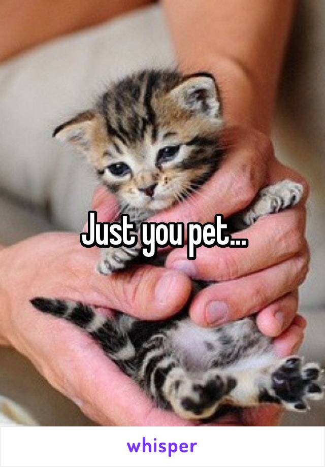 Just you pet...