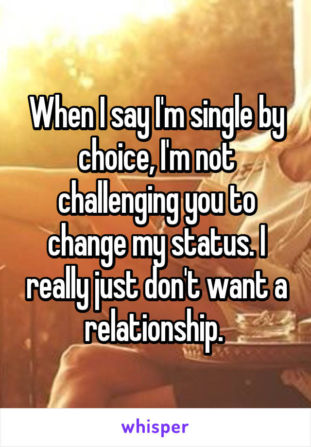 When I say I'm single by choice, I'm not challenging you to change my status. I really just don't want a relationship. 