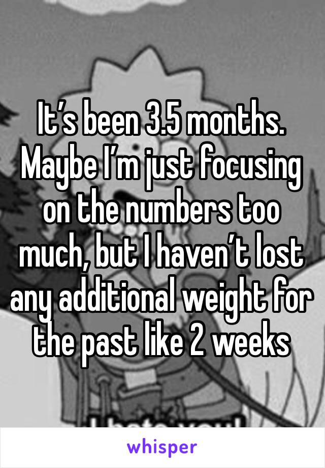 It’s been 3.5 months. Maybe I’m just focusing on the numbers too much, but I haven’t lost any additional weight for the past like 2 weeks 