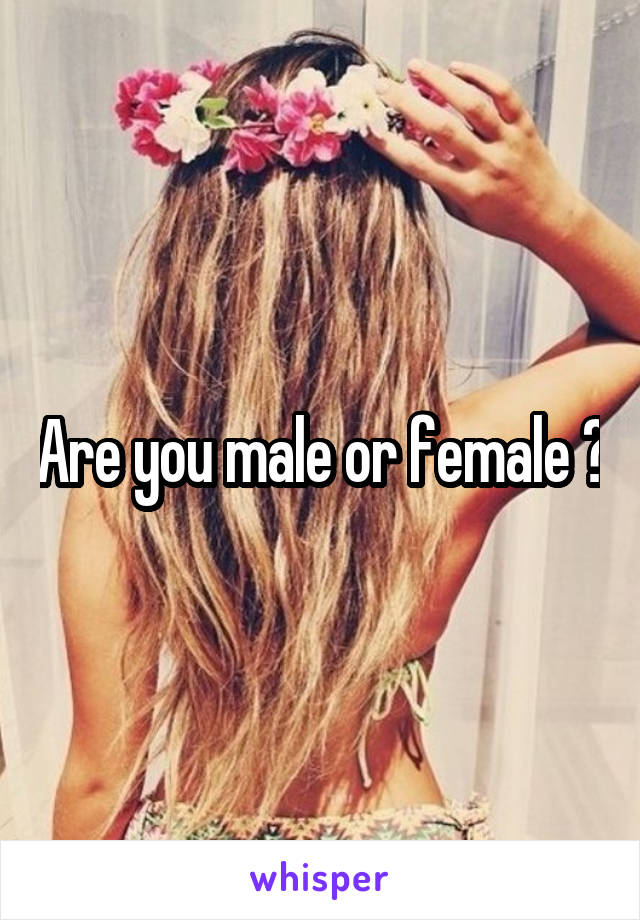 Are you male or female ?