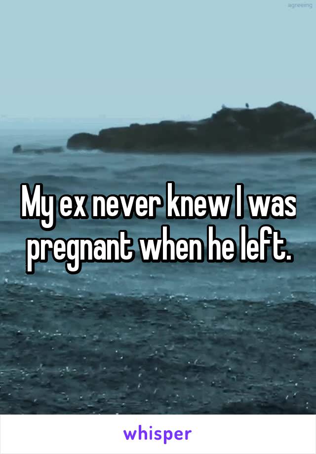 My ex never knew I was pregnant when he left.