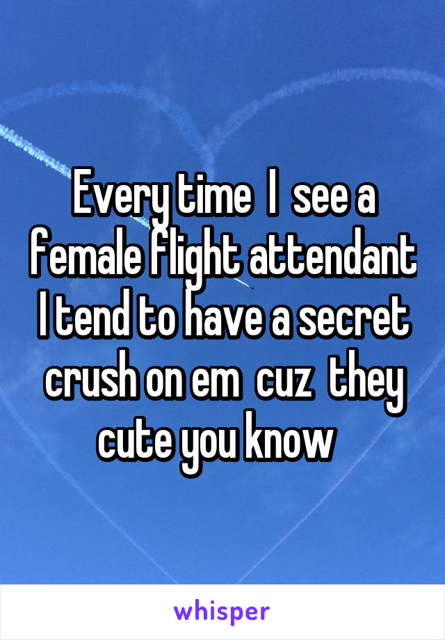 Every time  I  see a female flight attendant I tend to have a secret crush on em  cuz  they cute you know  