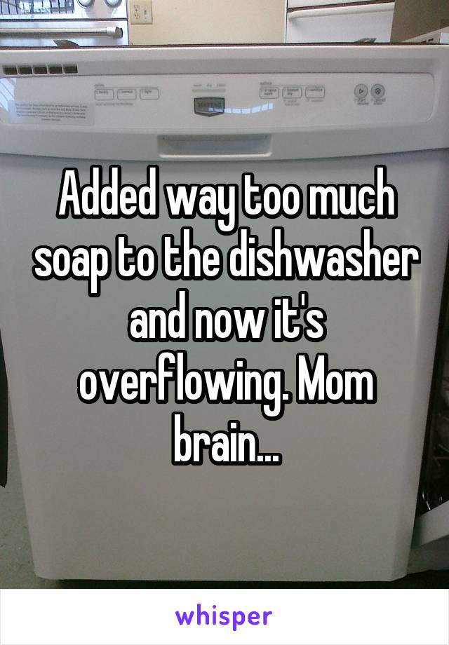Added way too much soap to the dishwasher and now it's overflowing. Mom brain...