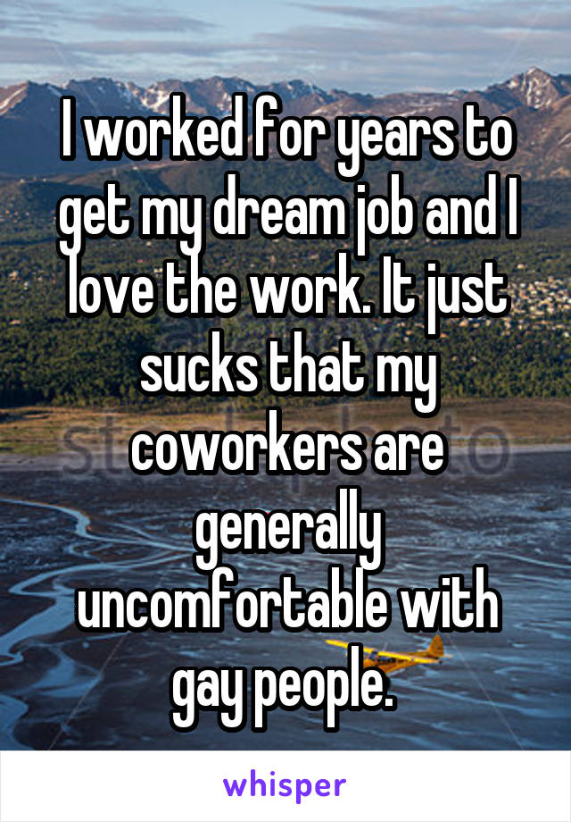 I worked for years to get my dream job and I love the work. It just sucks that my coworkers are generally uncomfortable with gay people. 