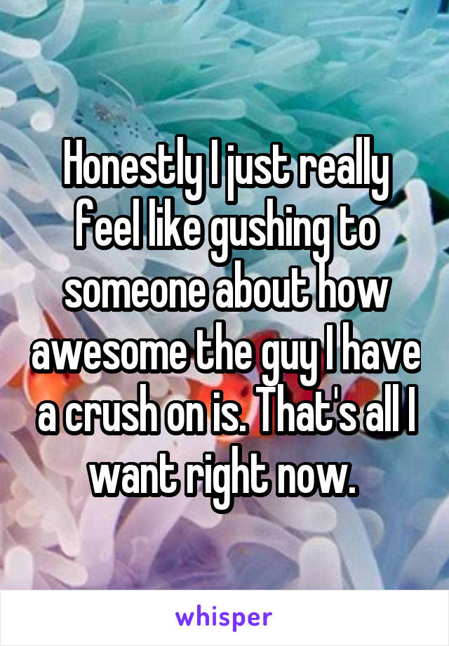 Honestly I just really feel like gushing to someone about how awesome the guy I have a crush on is. That's all I want right now. 