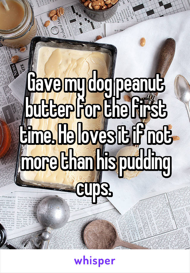 Gave my dog peanut butter for the first time. He loves it if not more than his pudding cups. 