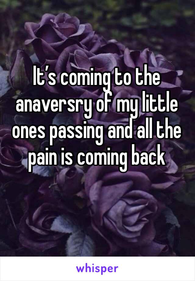 It’s coming to the anaversry of my little ones passing and all the pain is coming back 