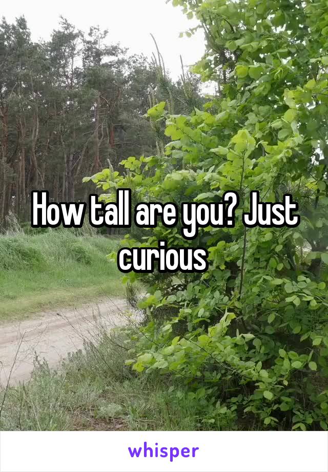 How tall are you? Just curious 