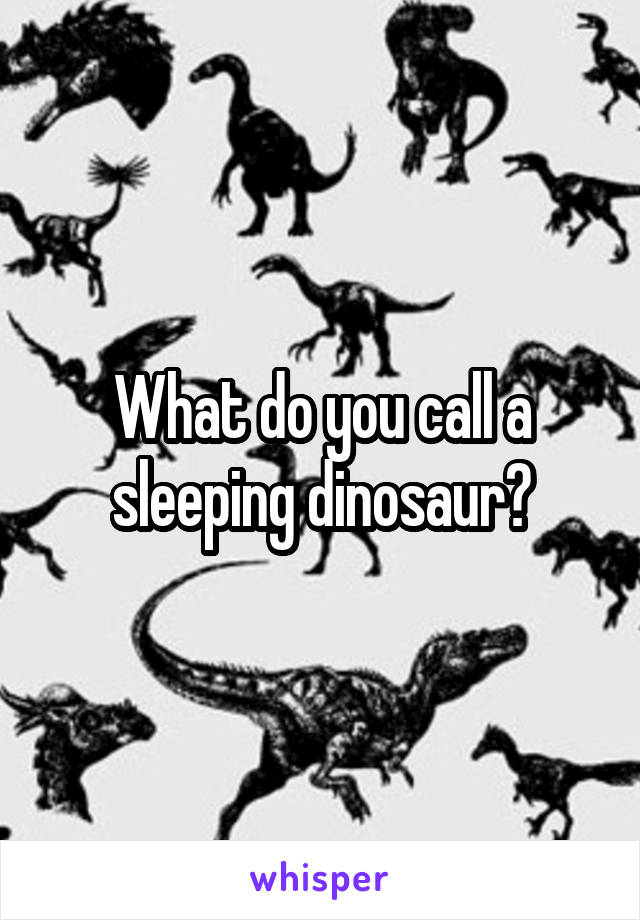 What do you call a sleeping dinosaur?
