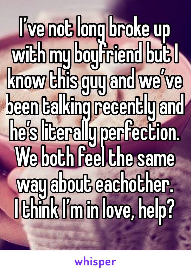 I’ve not long broke up with my boyfriend but I know this guy and we’ve been talking recently and he’s literally perfection. We both feel the same way about eachother.
I think I’m in love, help?