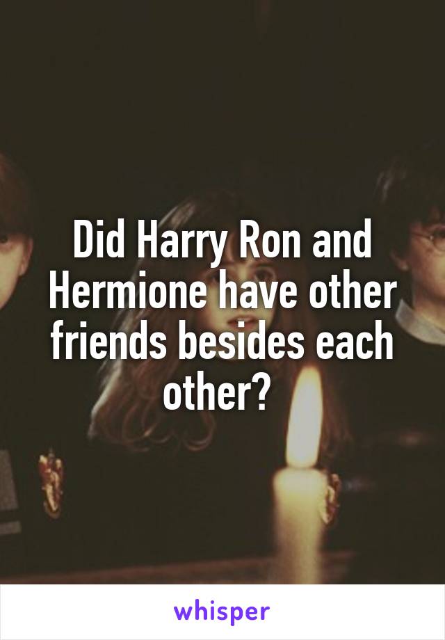 Did Harry Ron and Hermione have other friends besides each other? 