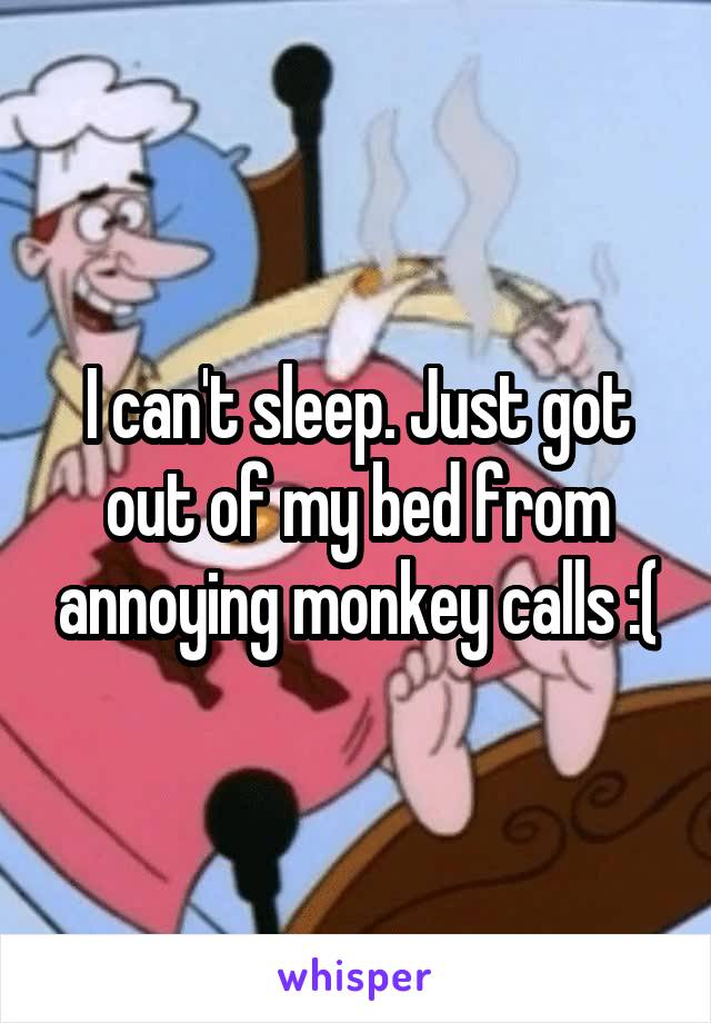 I can't sleep. Just got out of my bed from annoying monkey calls :(