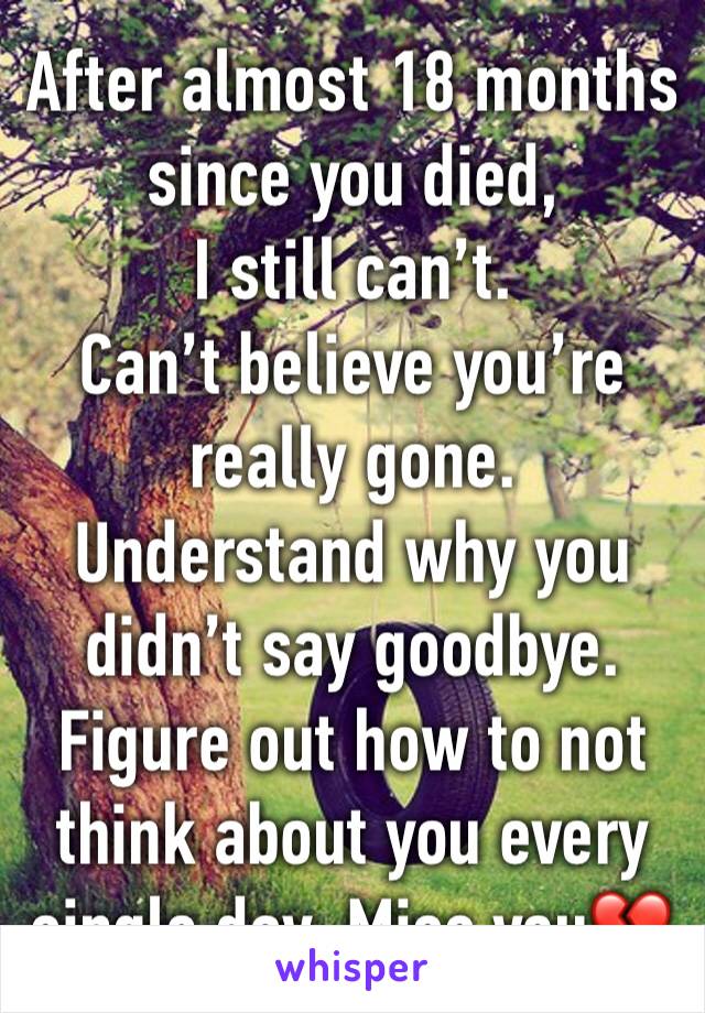 After almost 18 months since you died,
I still can’t.
Can’t believe you’re really gone. 
Understand why you didn’t say goodbye. 
Figure out how to not think about you every single day. Miss you💔