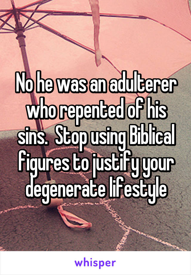 No he was an adulterer who repented of his sins.  Stop using Biblical figures to justify your degenerate lifestyle