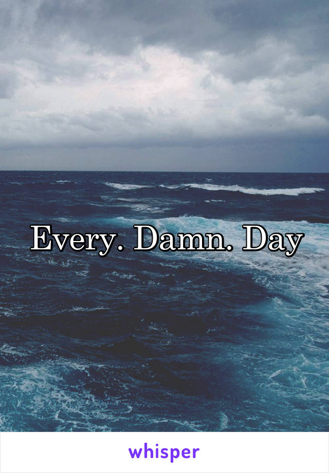 Every. Damn. Day