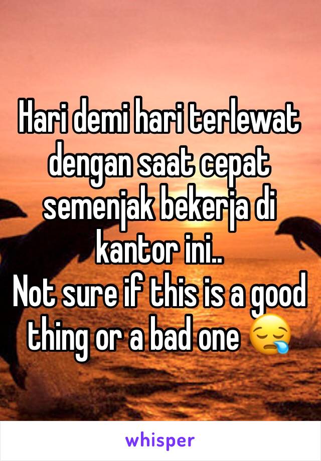 Hari demi hari terlewat dengan saat cepat semenjak bekerja di kantor ini..
Not sure if this is a good thing or a bad one 😪