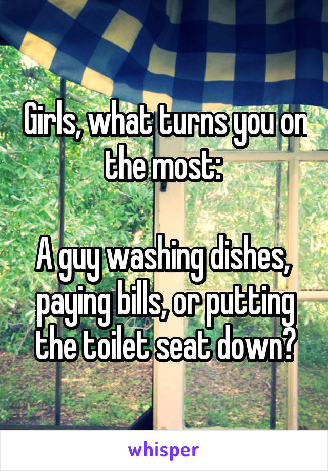 Girls, what turns you on the most: 

A guy washing dishes, 
paying bills, or putting the toilet seat down?