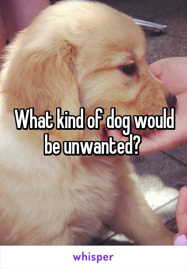 What kind of dog would be unwanted? 