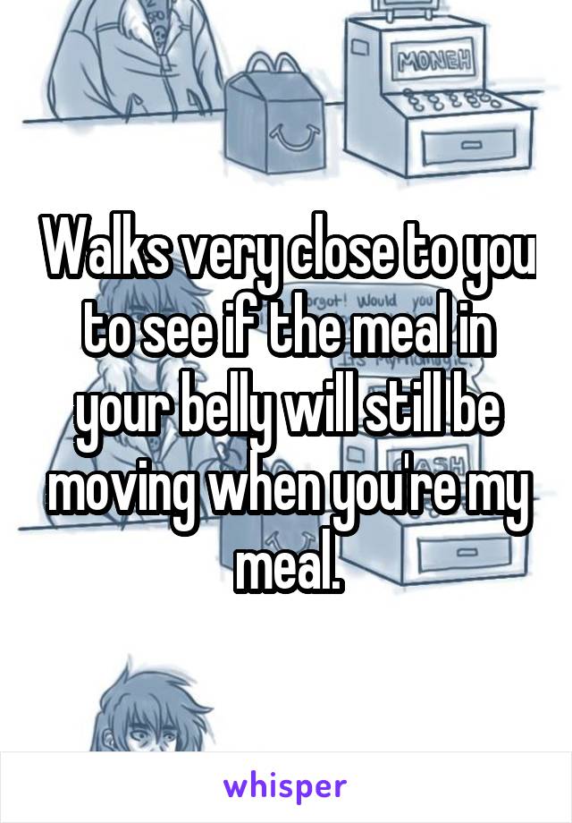 Walks very close to you to see if the meal in your belly will still be moving when you're my meal.
