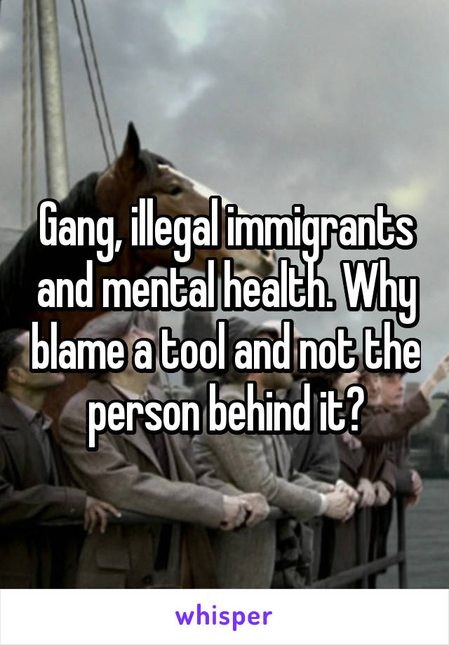 Gang, illegal immigrants and mental health. Why blame a tool and not the person behind it?