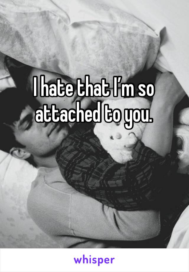 I hate that I’m so attached to you. 