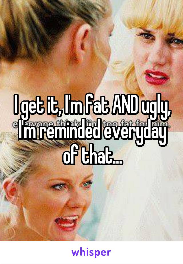 I get it, I'm fat AND ugly, I'm reminded everyday of that...