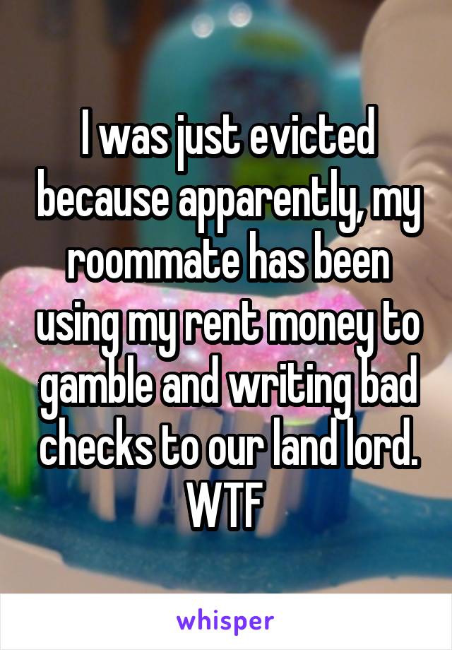 I was just evicted because apparently, my roommate has been using my rent money to gamble and writing bad checks to our land lord. WTF 