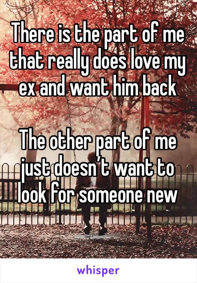 There is the part of me that really does love my ex and want him back

The other part of me just doesn’t want to look for someone new