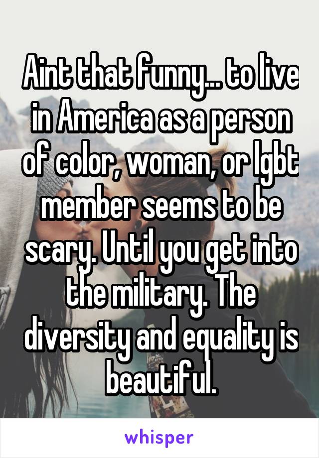 Aint that funny... to live in America as a person of color, woman, or lgbt member seems to be scary. Until you get into the military. The diversity and equality is beautiful.